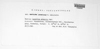 Image Associated With the Occurrence